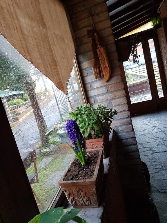 Le Stanze Sul Po Bed and Breakfast Φεράρα Εξωτερικό φωτογραφία